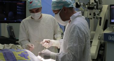 Уникальная операция на базе Александро-Мариинской больницы по удалению менингиомы в рамках конференции нейрохирургов ЮФО
